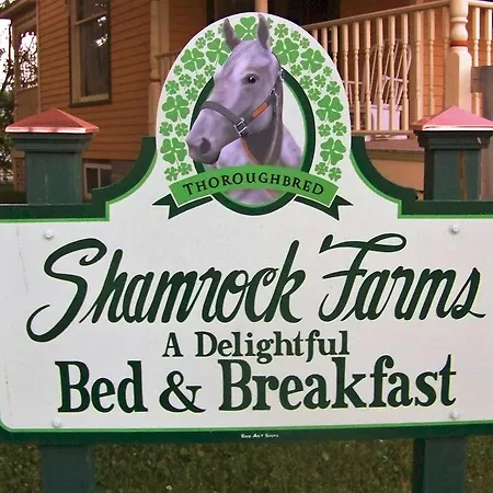 Shamrock Farms Bed And Breakfast-2